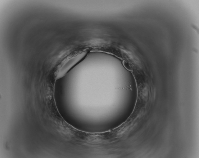 X0000096481253200801311549