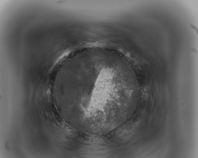 X0000096481254200801311549