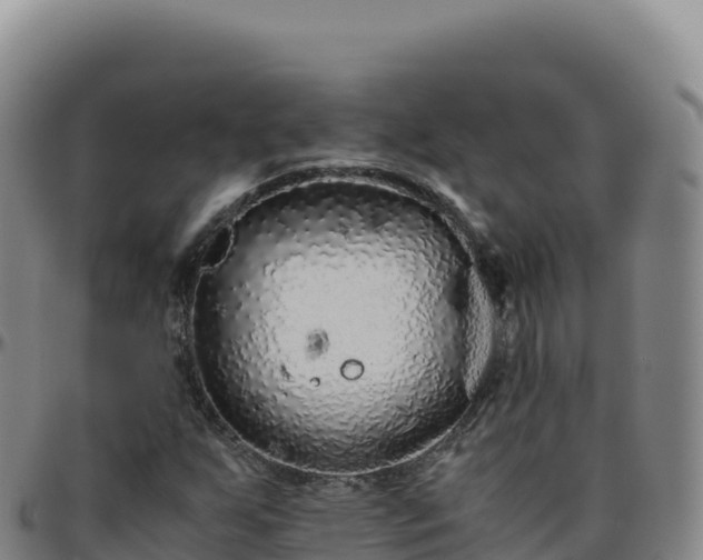 X0000096481255200801311548