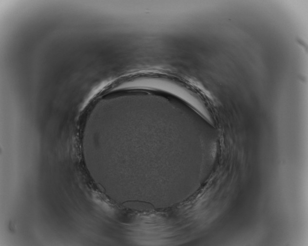 X0000096481256200801311548