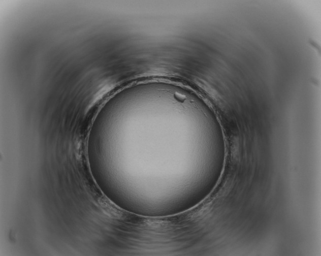 X0000096481258200801311548