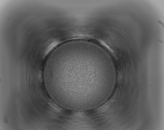 X0000096481259200801311548