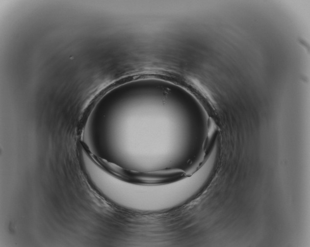 X0000096481260200801311548