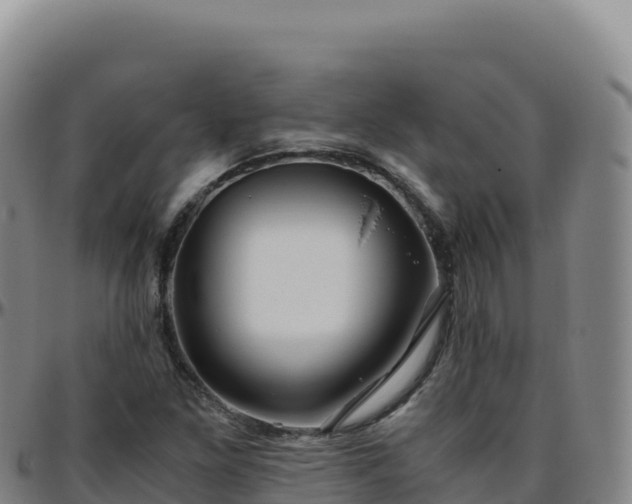 X0000096481261200801311548