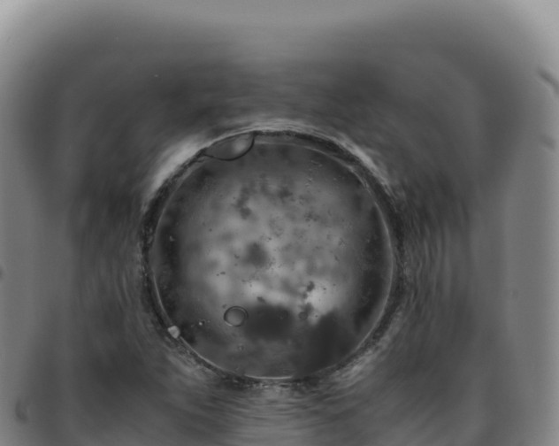 X0000096481263200801311548