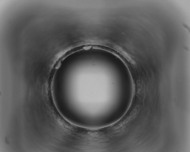 X0000096481264200801311548