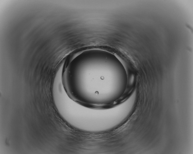 X0000096481265200801311548