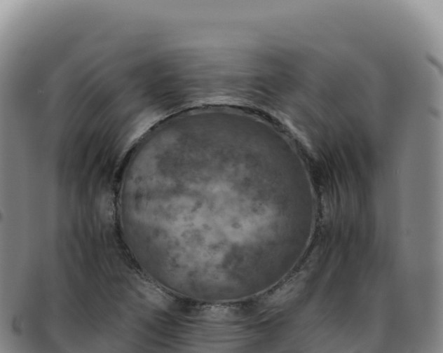 X0000096481266200801311548