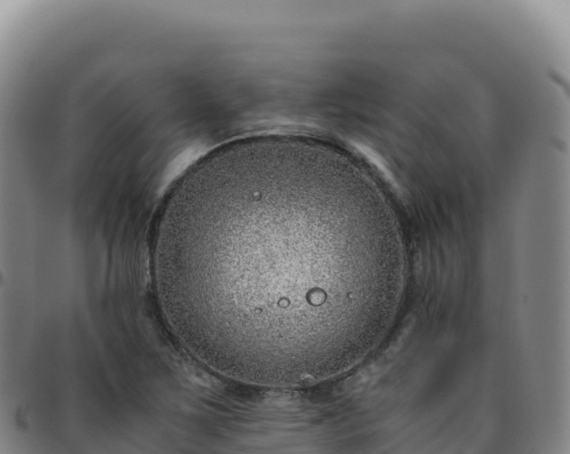 X0000096481267200801311548