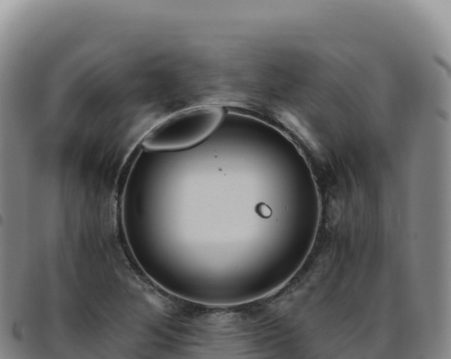 X0000096481268200801311548