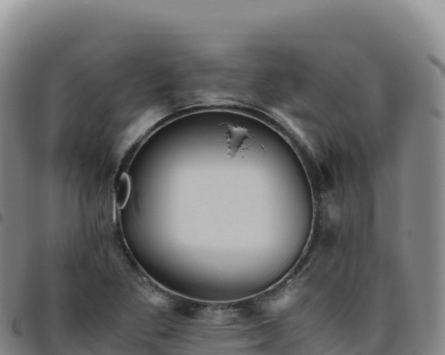 X0000096481269200801311548