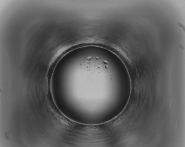 X0000096481270200801311548