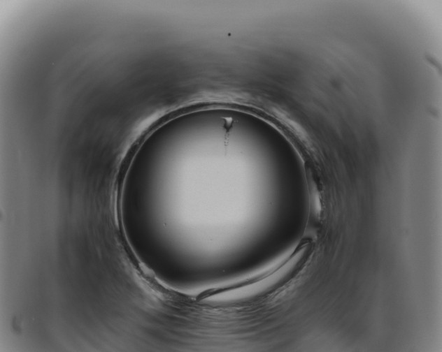 X0000096481272200801311548