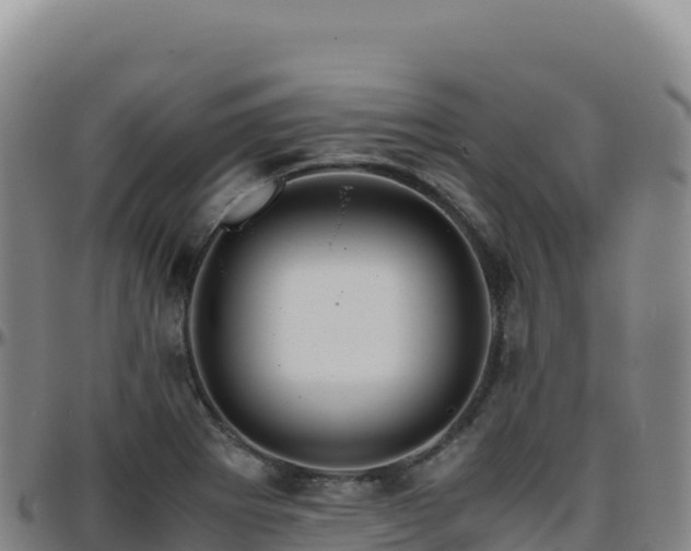 X0000096481273200801311548