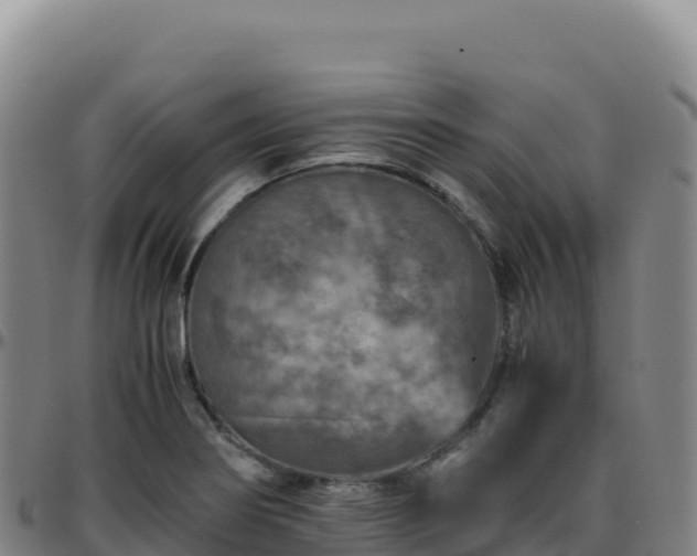 X0000096481274200801311548