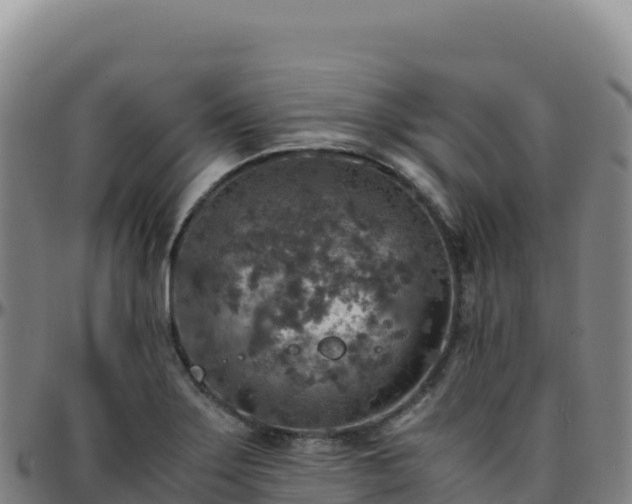 X0000096481275200801311548