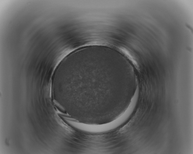 X0000096481276200801311548