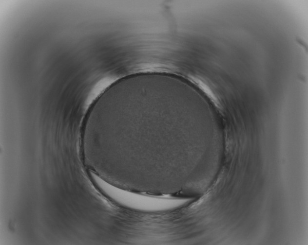 X0000096481277200801311548