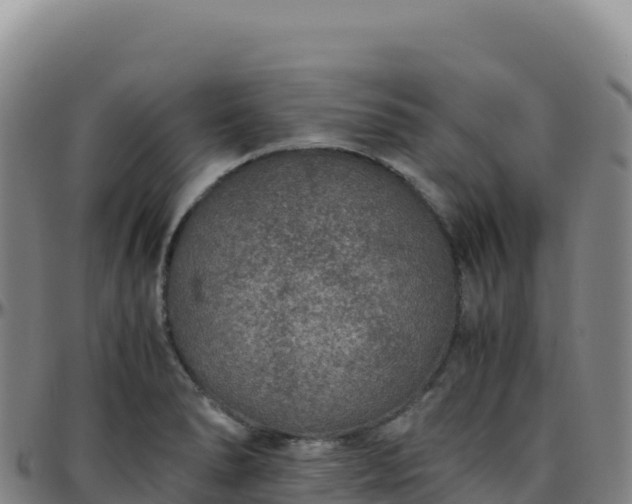 X0000096481278200801311548