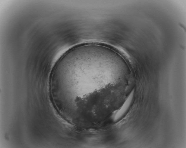 X0000096481279200801311548