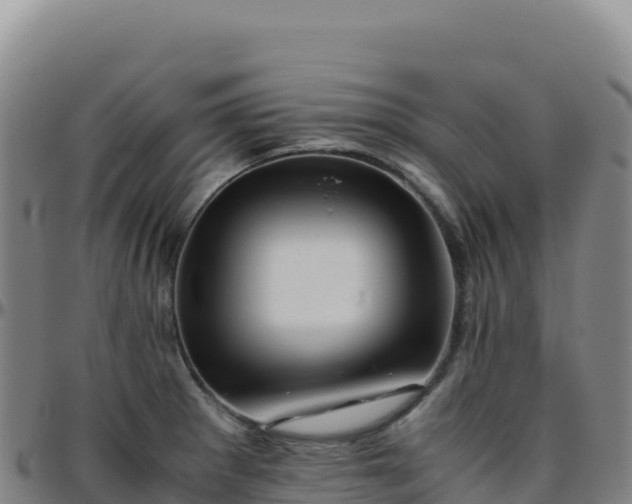 X0000096481281200801311548