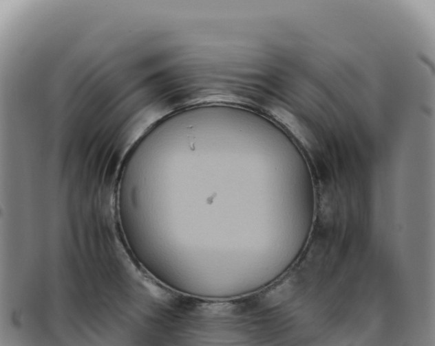 X0000096481282200801311548