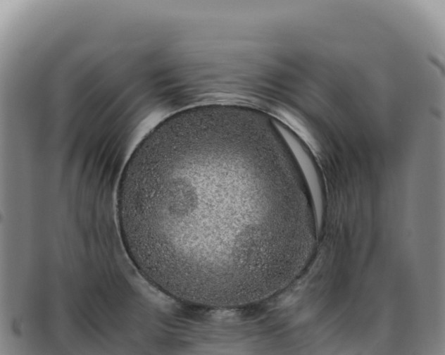 X0000096481283200801311548