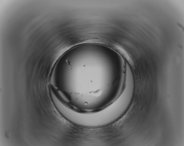 X0000096481284200801311548