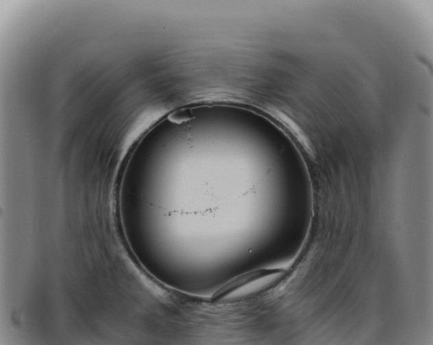 X0000096481285200801311548