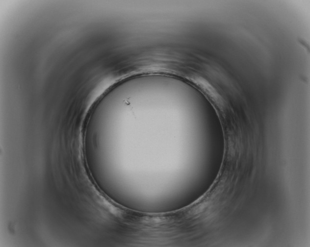 X0000096481286200801311548