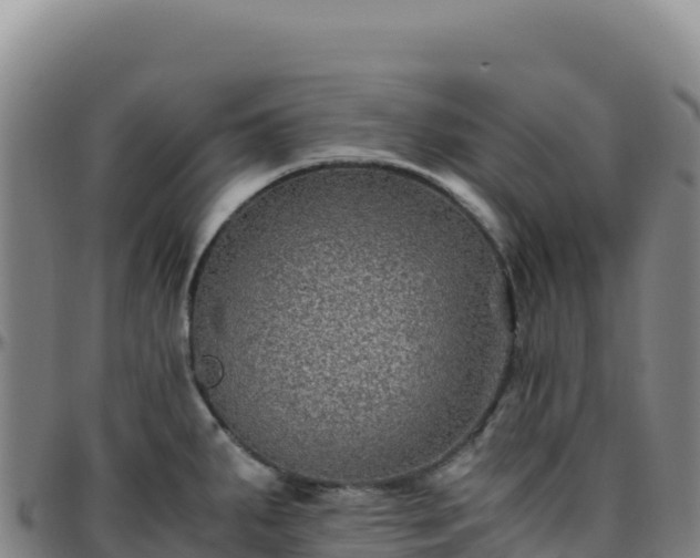 X0000096481287200801311548