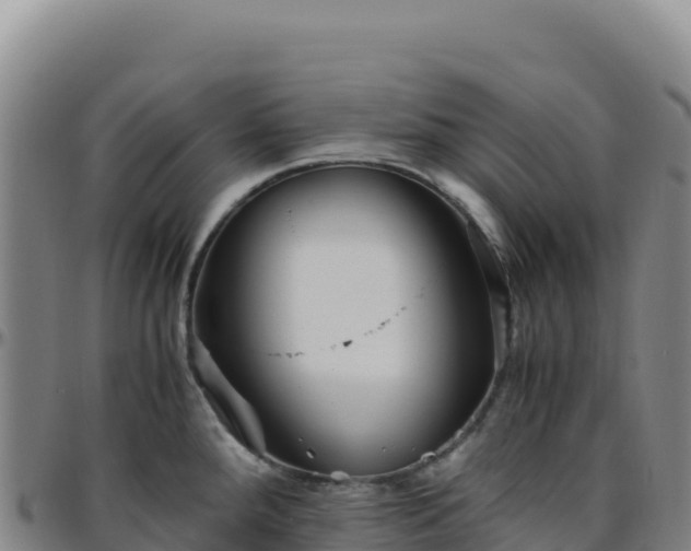 X0000096481288200801311548