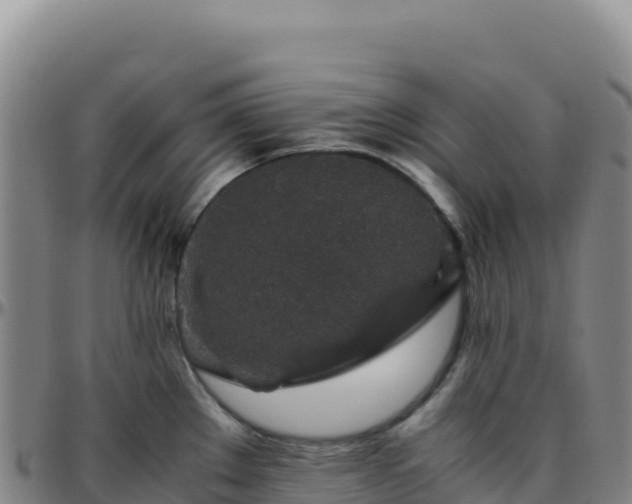 X0000096481289200801311548