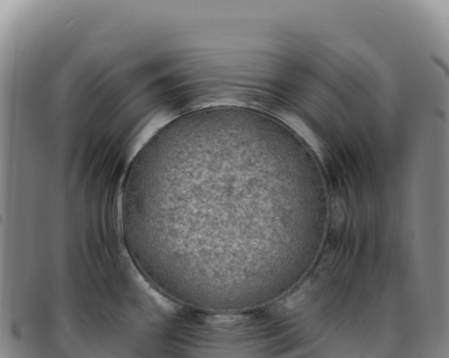 X0000096481290200801311548