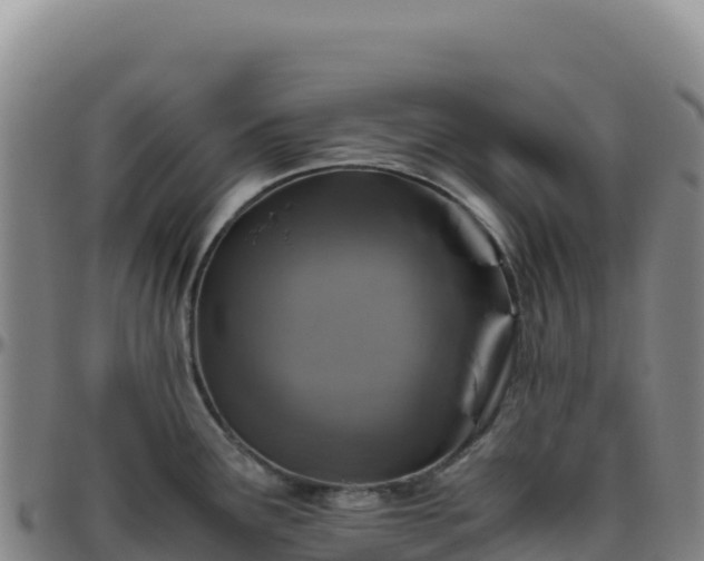 X0000096481291200801311548