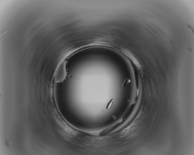 X0000096481292200801311548