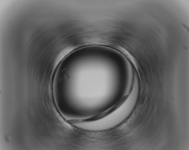 X0000096481293200801311548