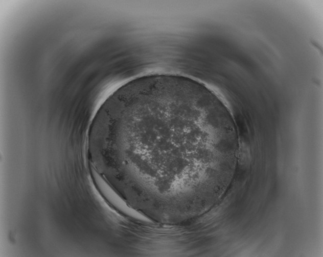 X0000096481295200801311548