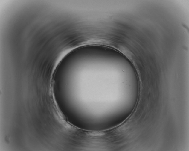 X0000096481296200801311548