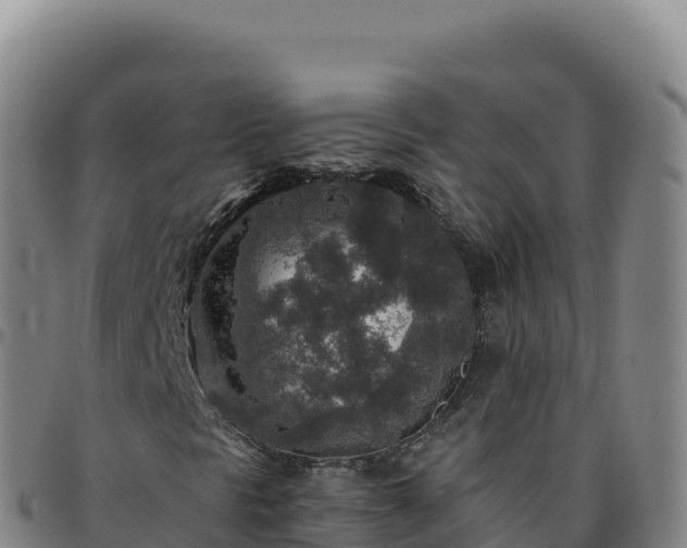 X0000096481297200801311547