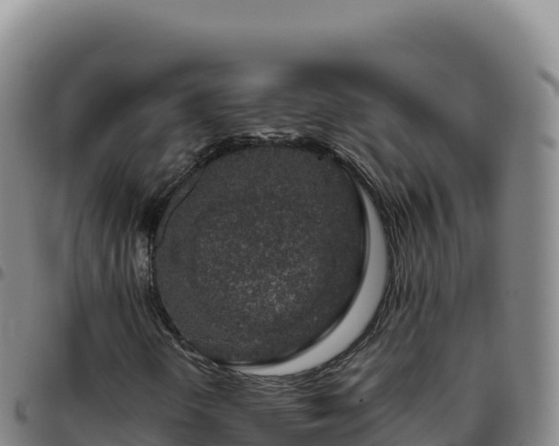 X0000096481298200801311547