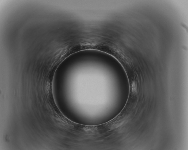 X0000096481299200801311547