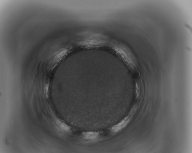 X0000096481300200801311547