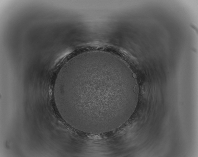 X0000096481302200801311547