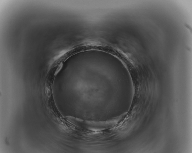 X0000096481303200801311547