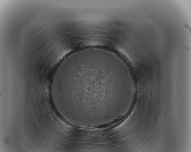 X0000096481305200801311547