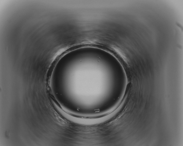 X0000096481308200801311547