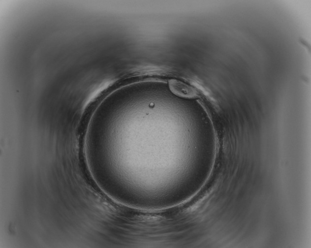 X0000096481309200801311547