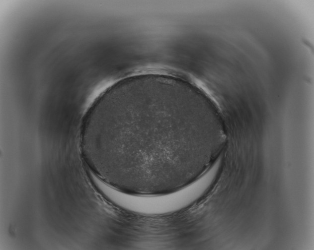 X0000096481312200801311547