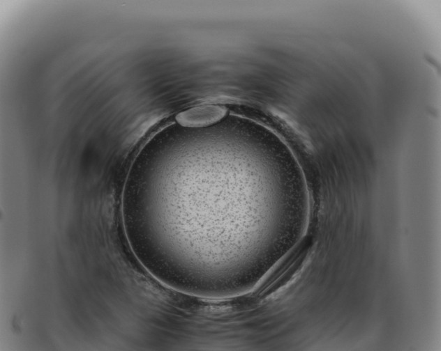 X0000096481313200801311547